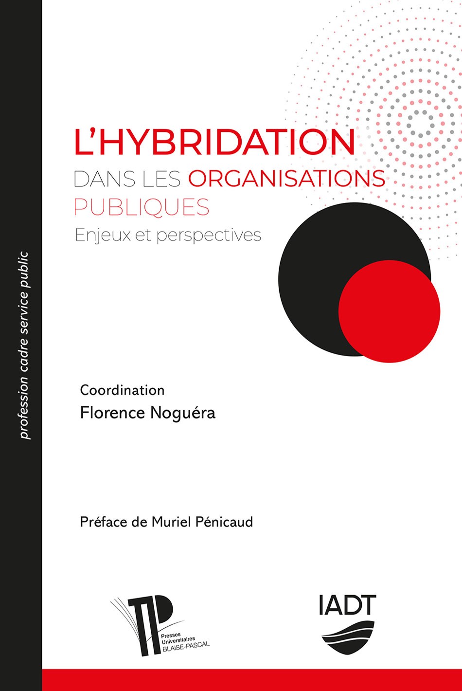 L'hybridation dans les organisations publiques